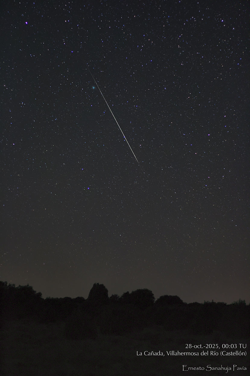 Última imagen compartida