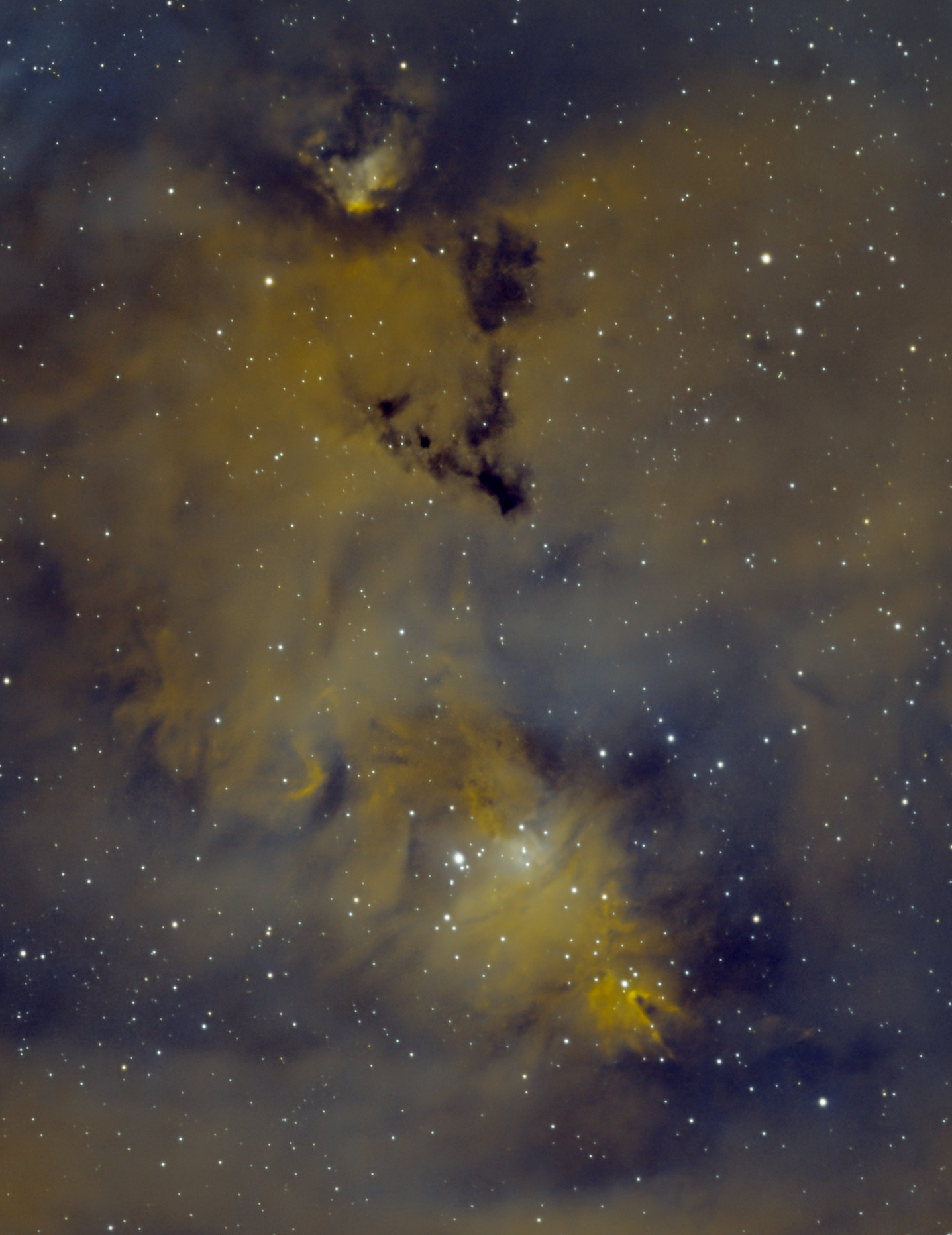 Última imagen compartida