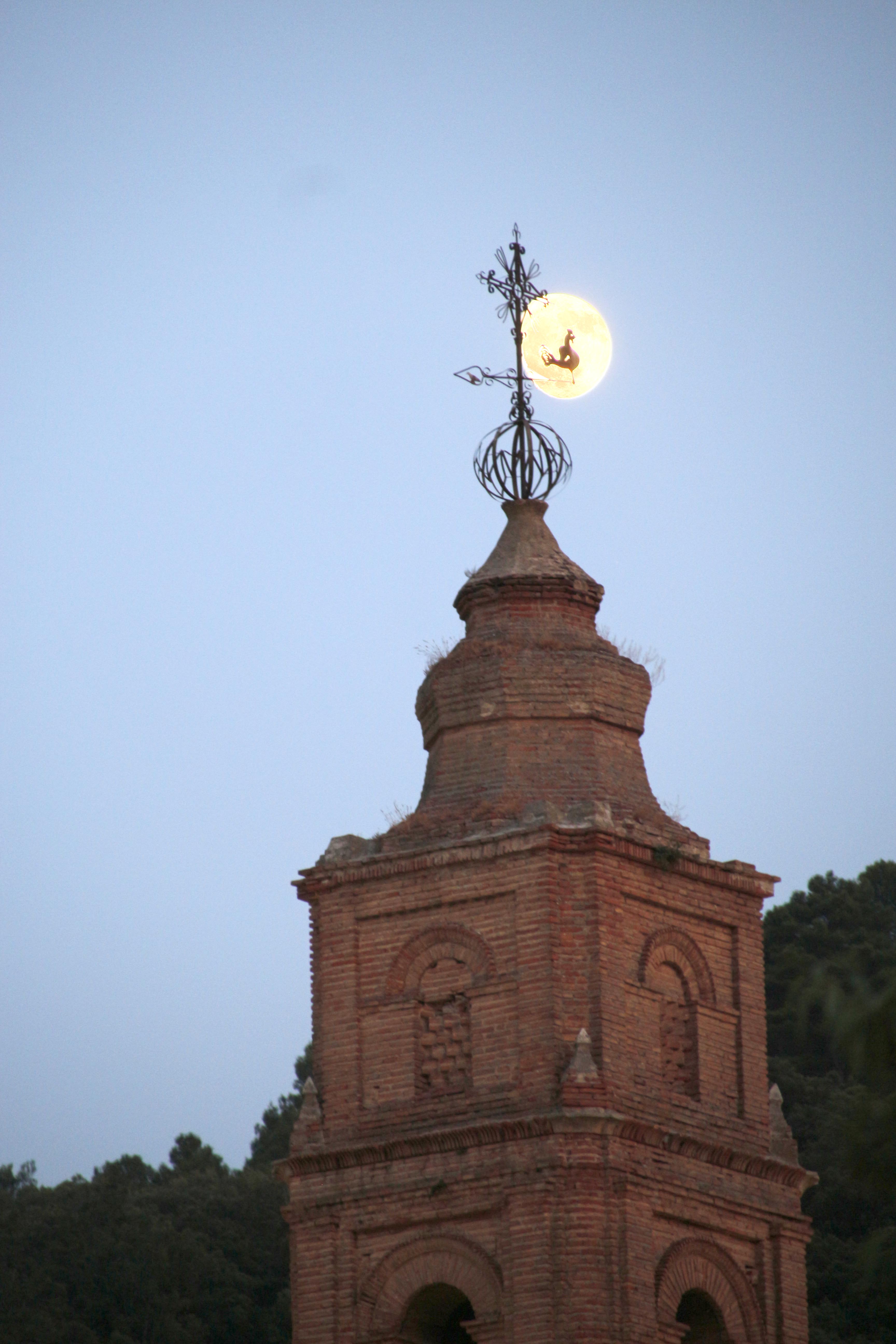 Última imagen compartida