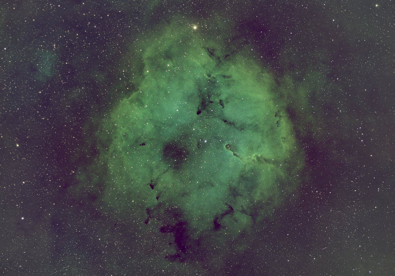 Última imagen compartida